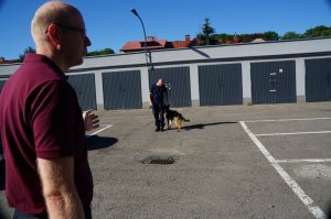 pokaz wyszkolenia psa