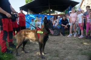 przedownik z psem w tel dzieci