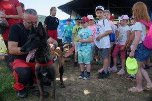 przewodnik z psem w tel dzieci