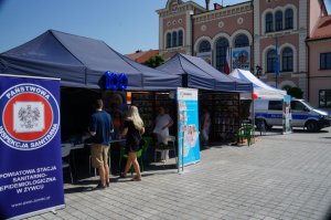 stoiska na festynie