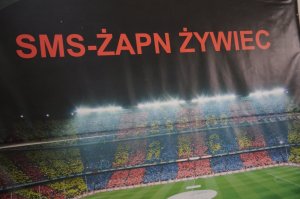 baner z napisem ŻPAN SMS