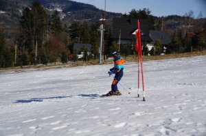 zawodnik w czasie zjazdu