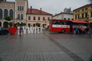 osoby stoją przed ambulansem w tle napis żywiec