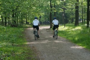 policjanci na rowerach w parku