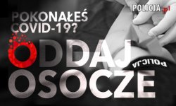 grafika poglądowa