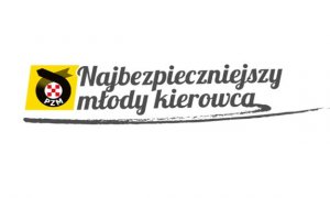 grafika poglądowa