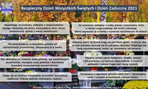 grafika poglądowa