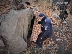 policjant zagląda do prowizorycznie zrobionego namiotu