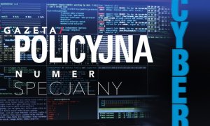 grafika poglądowa