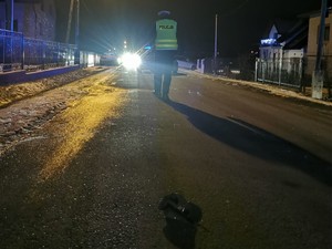 zdjęcie zdrobione w nocy na pierwszym planie policjant wykonujący czynnosci na miejscu wypadku w tle samochody