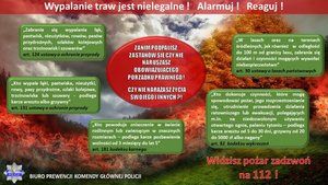 grafika poglądowa - plakat akcji