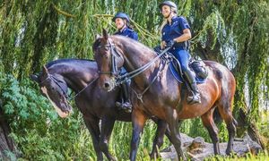 dwóch policjantów jedzie na koniach w tle drzewa