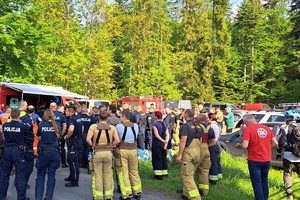 kolorowe zdjęcie osób biorących udział w poszukiwaniach