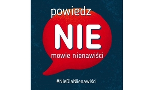 grafika poglądowa