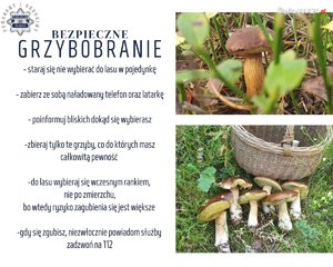 plakat z radami dotyczącymi bezpiecznego grzybobrania