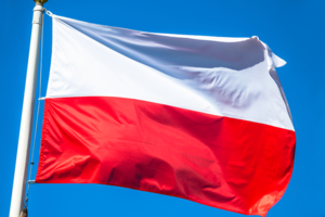 zdjęcie kolorowe flagi Polski