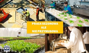 grafika poglądowa