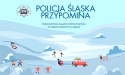 grafika poglądowa