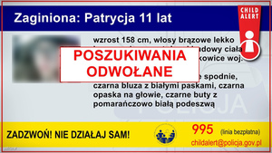 infografika