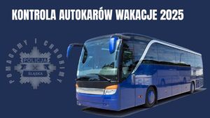 infografika