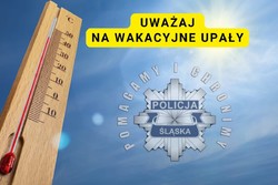 infografika