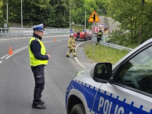 zdjęcie kolorowe, policjant stoi przy radiowozie