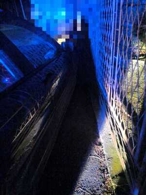 Zdjęcie przedstawia samochód BMW po kolizji