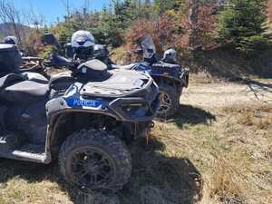 Zdjęcie przedstawia funkcjonariuszy policji, straży leśnej i straży granicznej podczas działań w masywie leśnym przy użyciu pojazdów typu quad